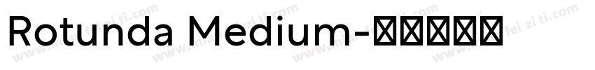 Rotunda Medium字体转换